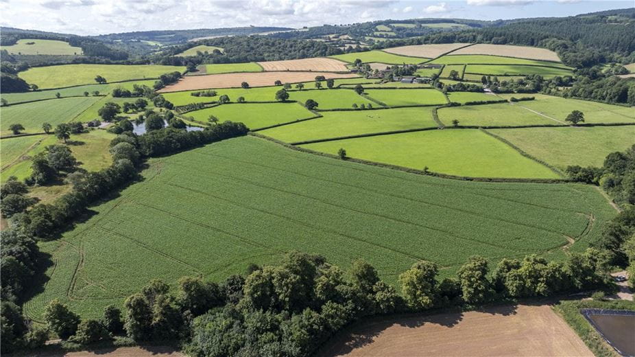 19.3 acres Land, Land At Spaxton, Bridgwater TA5 - Available