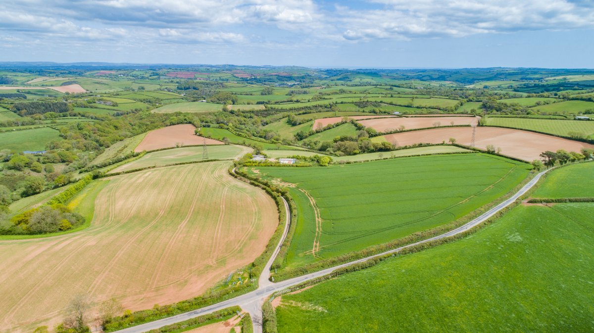 120.1 acres Land, Halwell, Totnes TQ9 - Sold