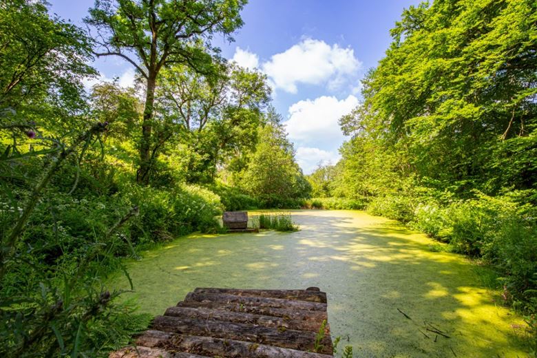 4 bedroom house, Cookbury Court, Cookbury EX22 - Available