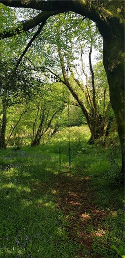 4 bedroom house, Cookbury Court, Cookbury EX22 - Available