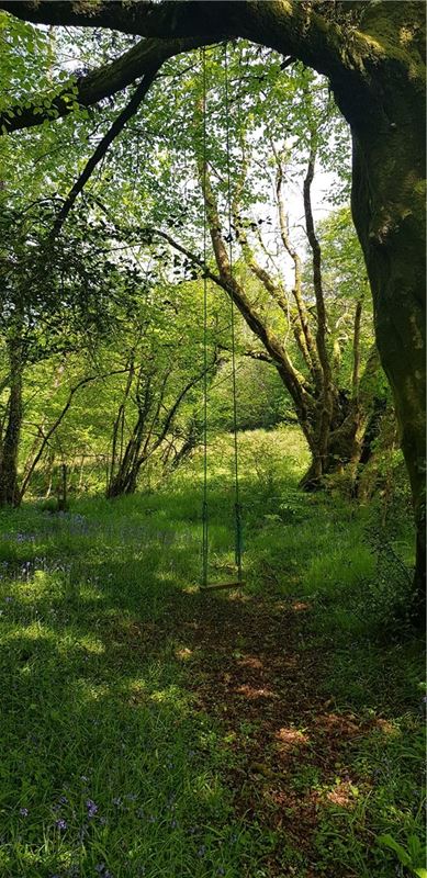 4 bedroom house, Cookbury Court, Cookbury EX22 - Available