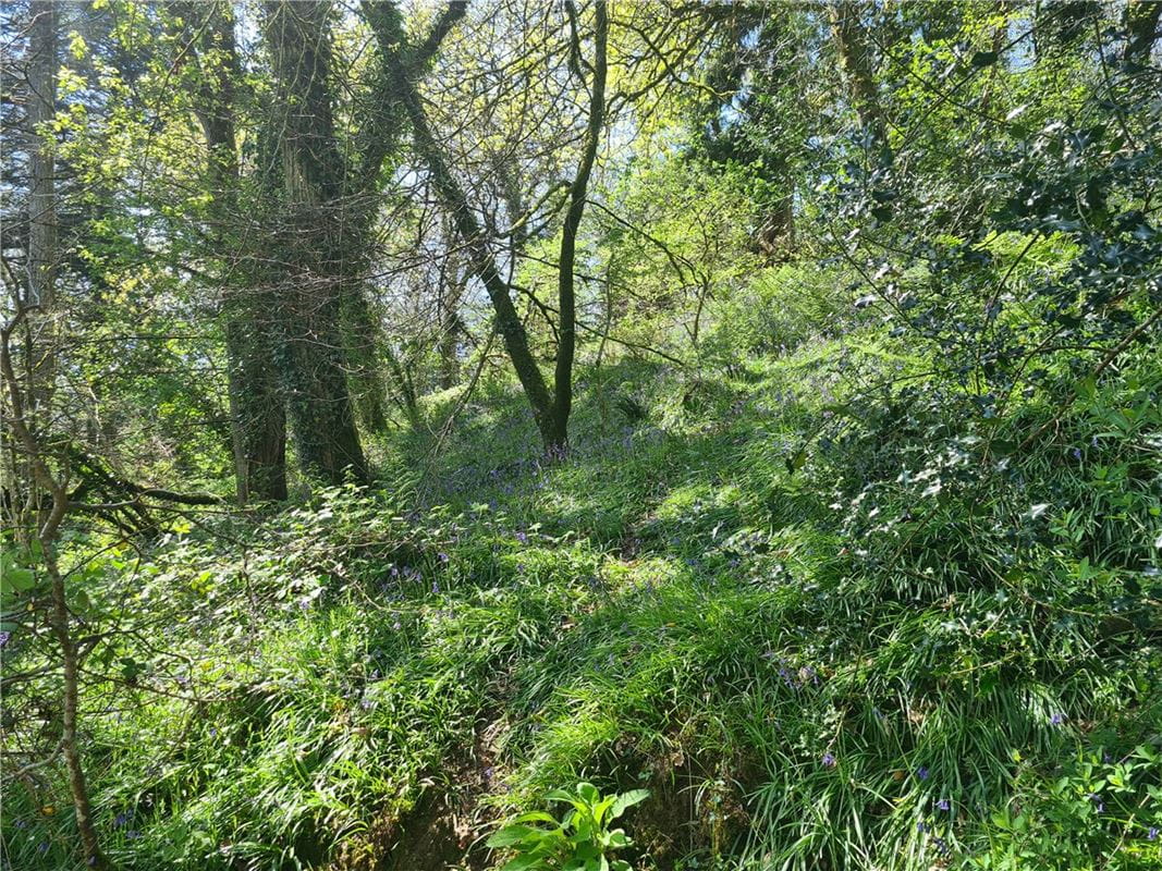 4 bedroom house, Cookbury, Holsworthy EX22 - Available