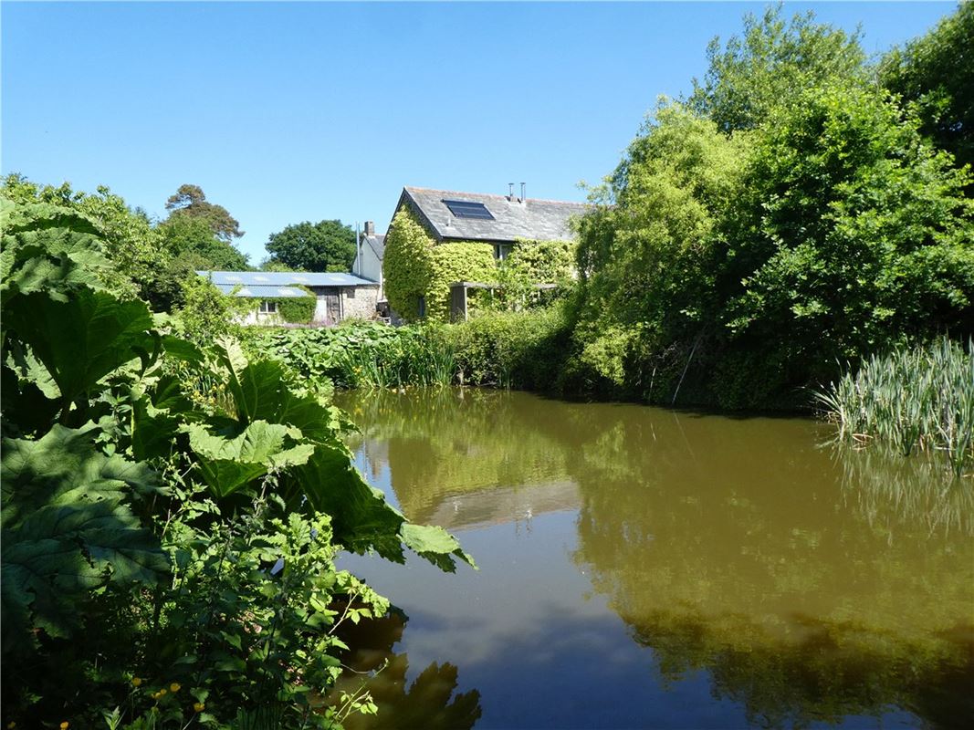 21.1 acres House, Winkleigh, Devon EX19 - Available