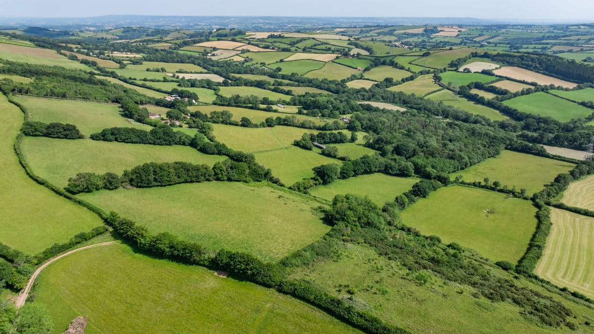 52.7 acres Land, Land At Shillingford, Tiverton EX16 - Sold STC