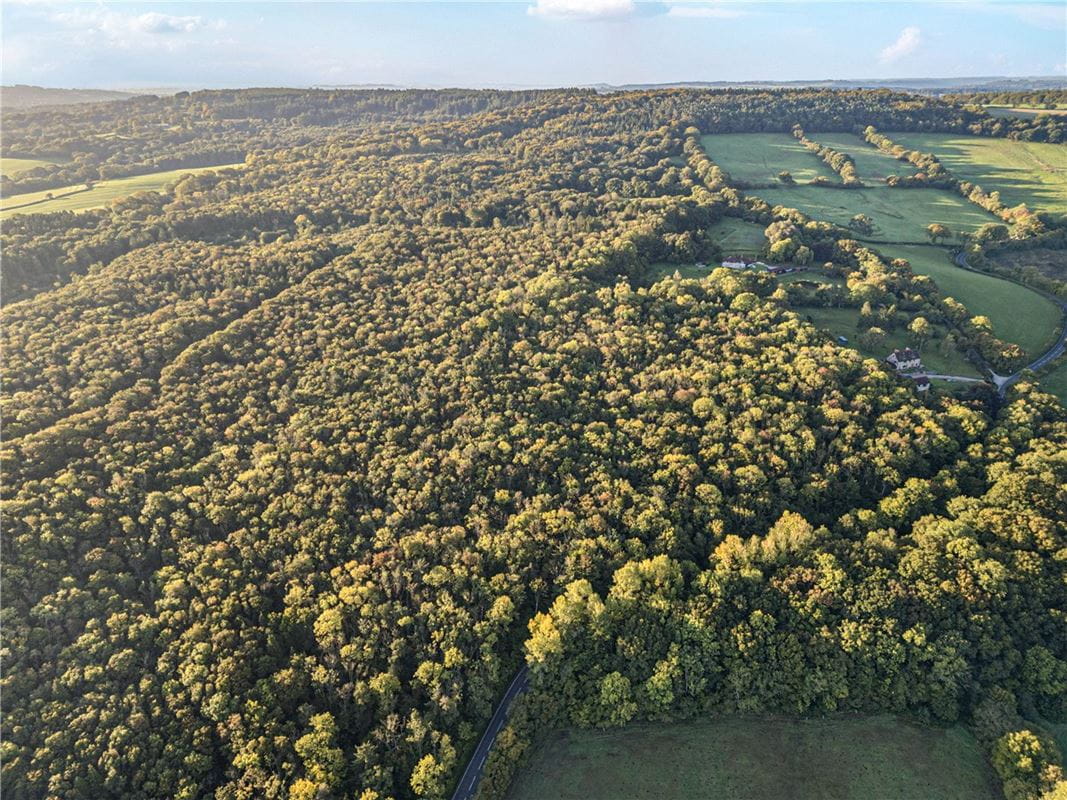 25.5 acres Land, Blake's Copse and Whitford Copse, Corfe TA3 - Available