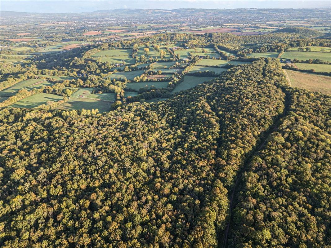 25.5 acres Land, Blake's Copse and Whitford Copse, Corfe TA3 - Available