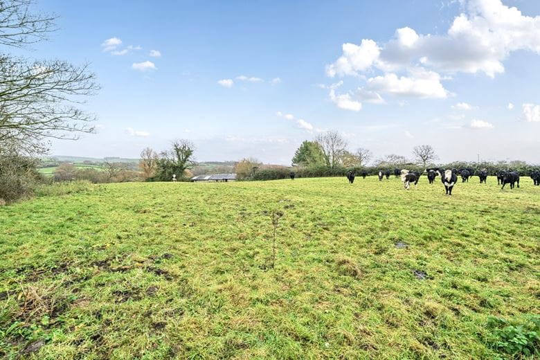 181 acres Farm, Twyford, Shaftesbury SP7 - Available