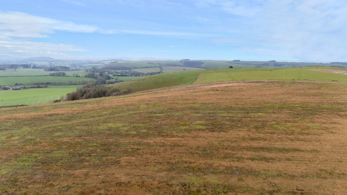 153 acres Land, Land At Winkelbury Hill, Berwick St. John SP7 - Available