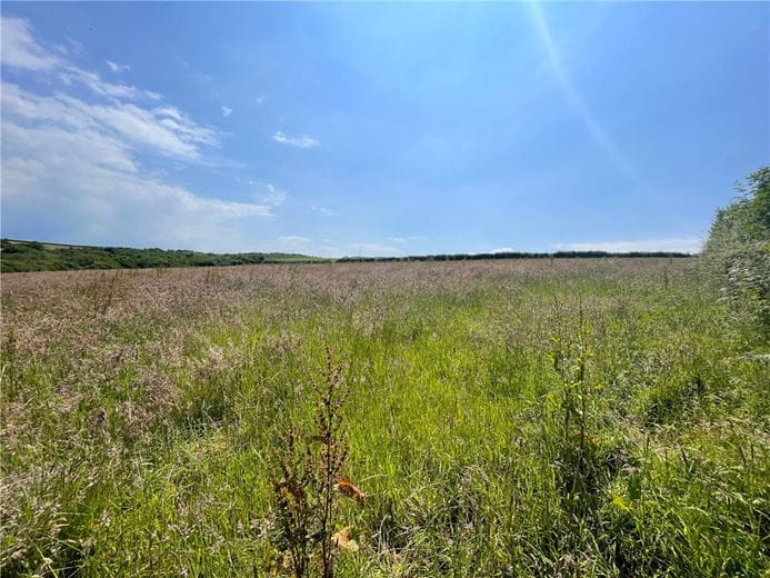 19.4 acres Land, Morwenstow, Bude EX23 - Sold