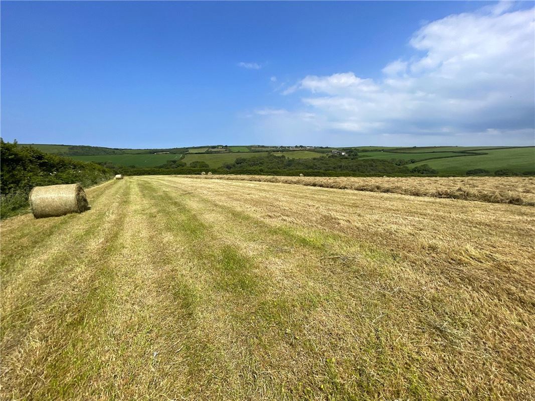 19.4 acres Land, Morwenstow, Bude EX23 - Sold