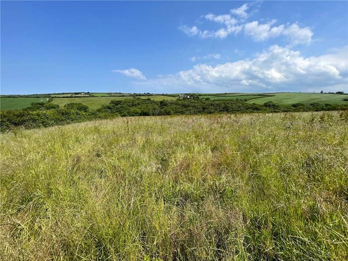 19.4 acres Land, Morwenstow, Bude EX23 - Sold