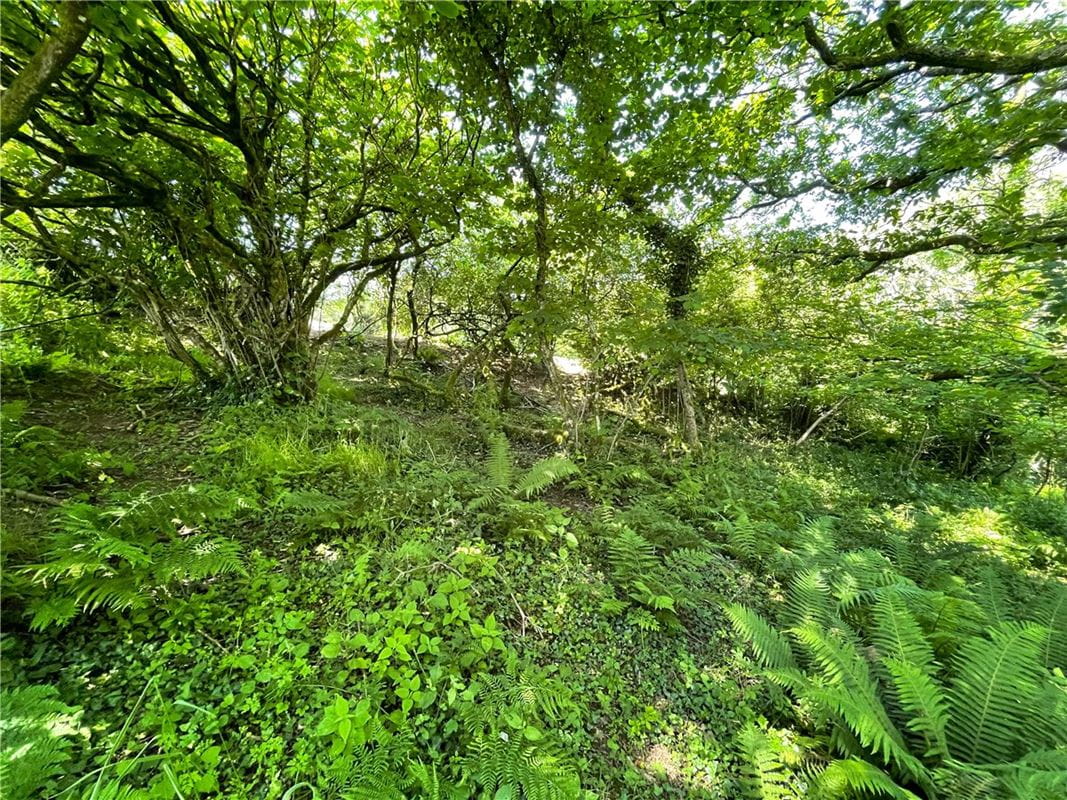 19.4 acres Land, Morwenstow, Bude EX23 - Sold