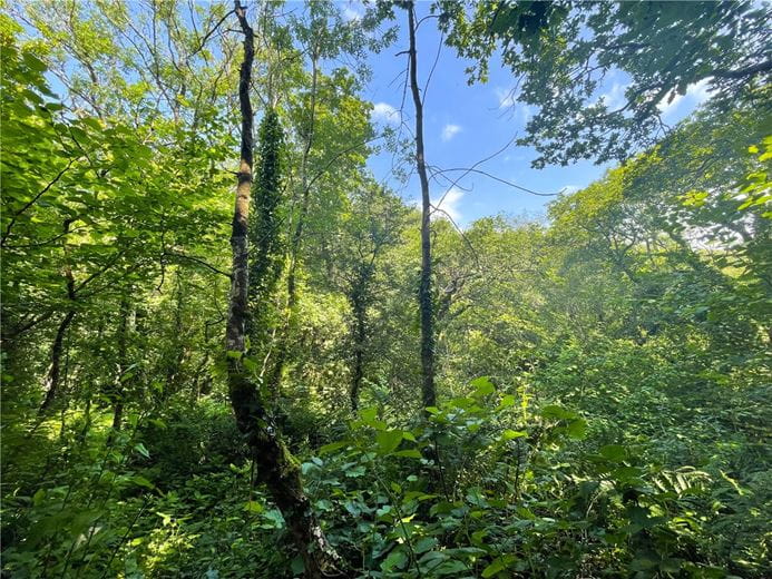 19.4 acres Land, Morwenstow, Bude EX23 - Sold