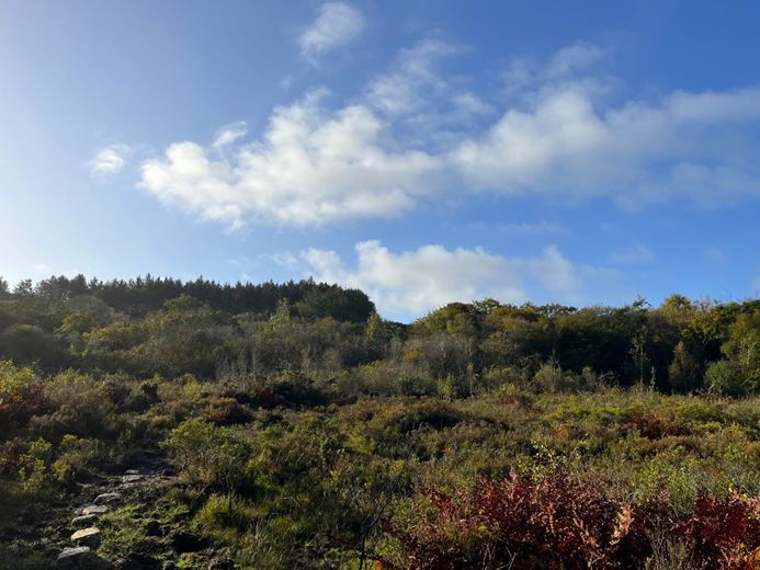 70.7 acres Land, Zelah, Truro TR4 - Sold