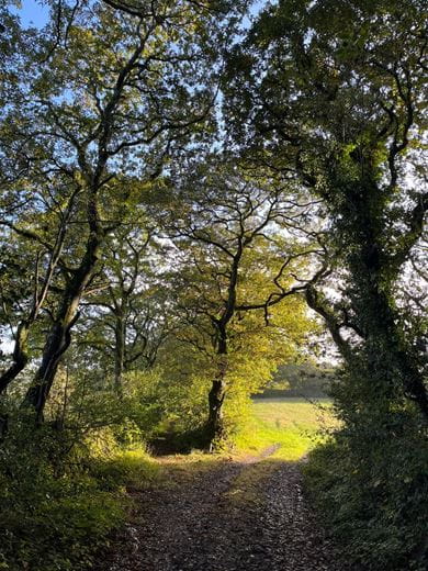 70.7 acres Land, Zelah, Truro TR4 - Sold