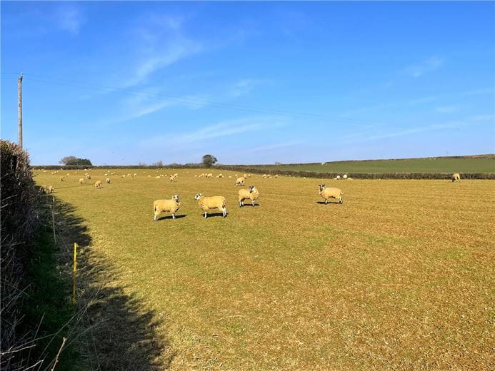 43.4 acres Land, Quethiock, Liskeard PL14 - Under Offer