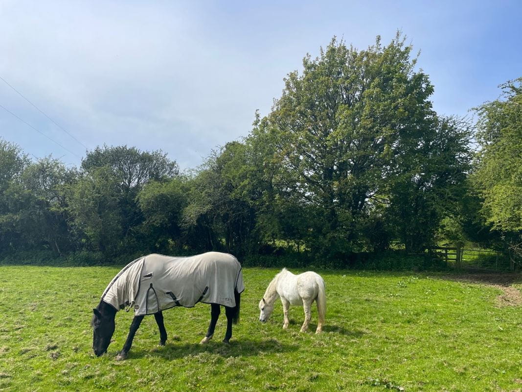 5.9 acres Farm, Pulla Cross, Truro TR4 - Sold STC