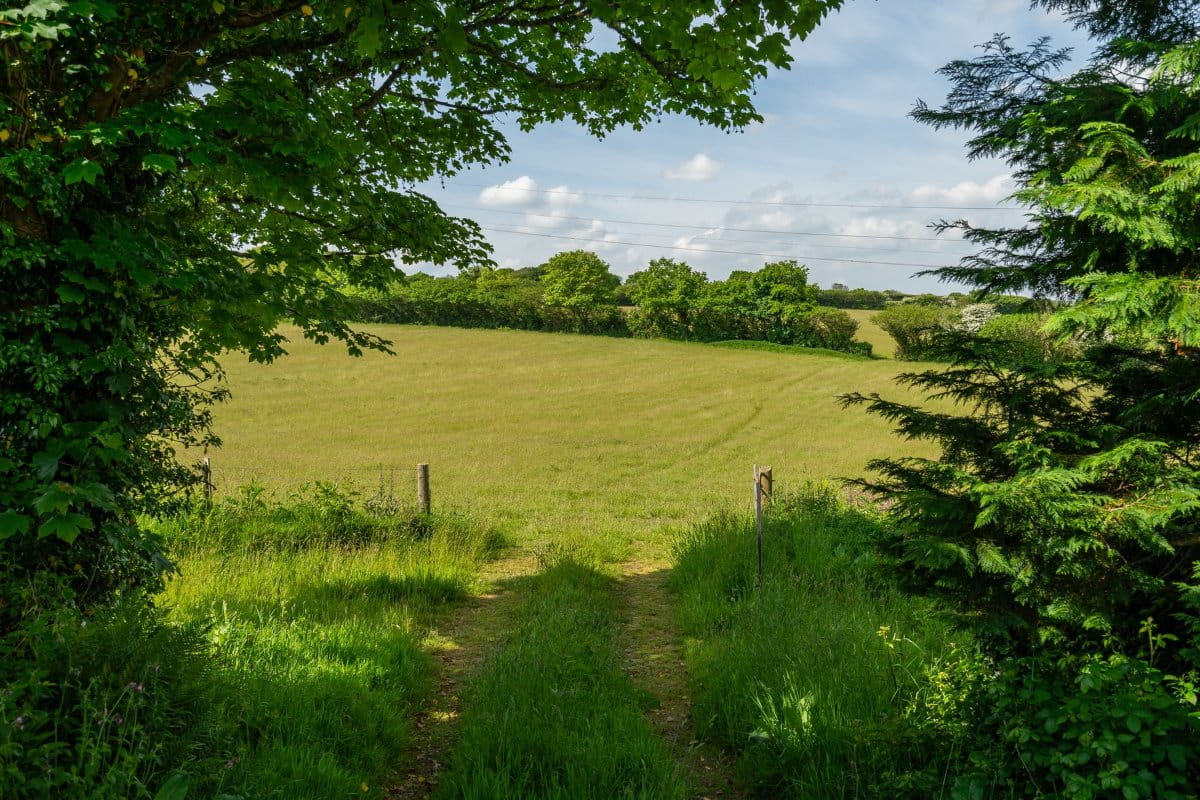 50 acres Farm, Tresamble, Gwennap TR16 - Sold