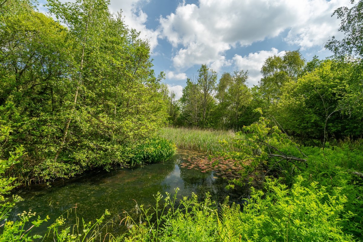 49.5 acres Farm, Tresamble, Gwennap TR16 - Sold