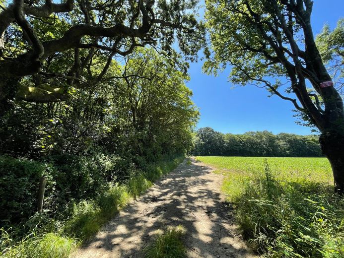 240 acres Land, Praze, Camborne TR14 - Sold