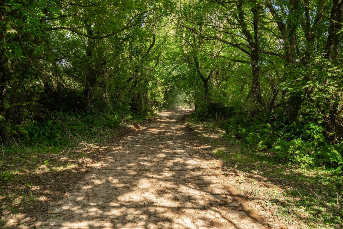 5 bedroom house, Ladock, Truro TR2 - Available