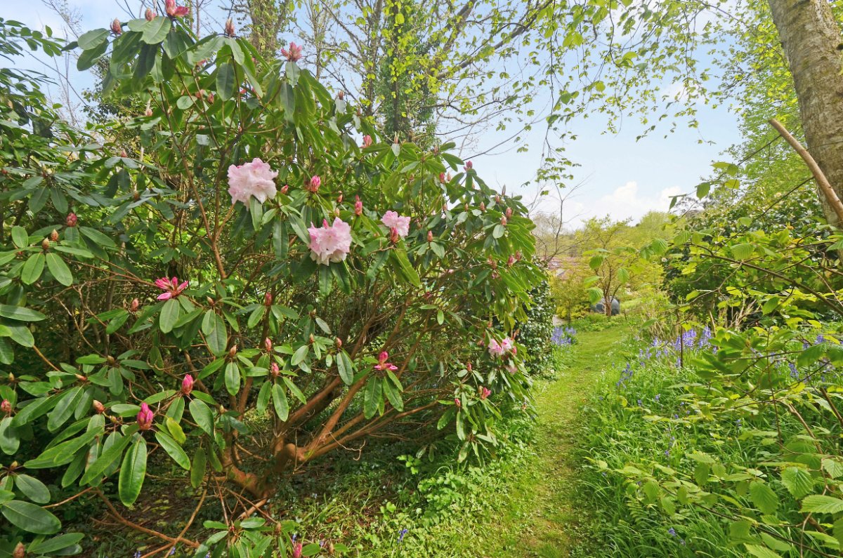 6.8 acres Farm, Hale Mills, Twelveheads TR4 - Available