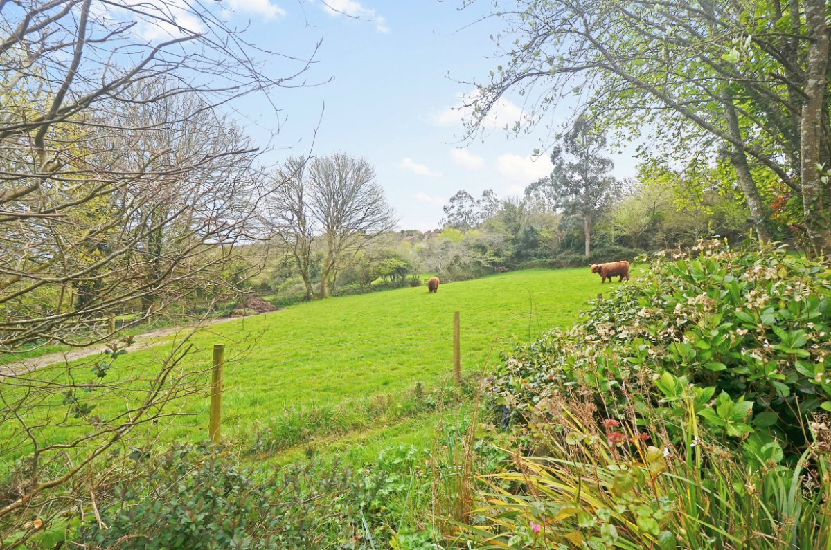 3.2 acres Farm, Hale Mills, Twelveheads TR4 - Available