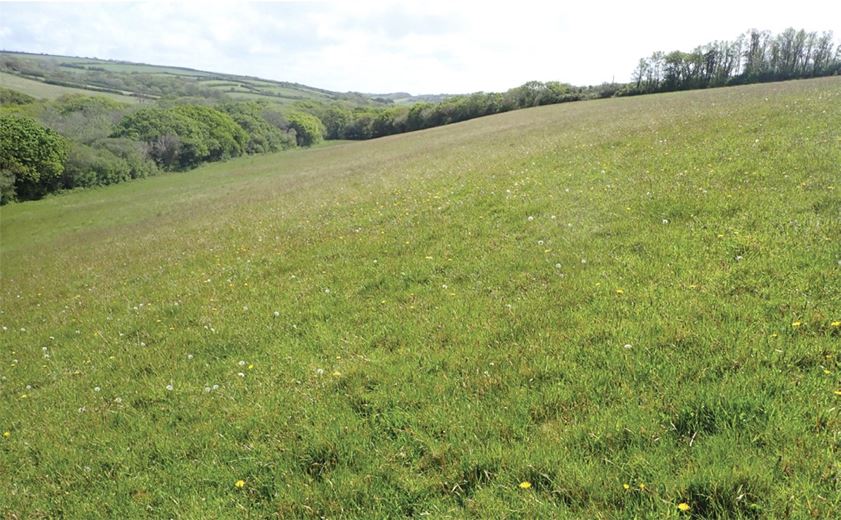 20.7 acres Land, St. Mawgan, Newquay TR8 - Available