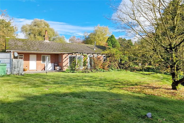 4 bedroom bungalow, Alresford Road, Cheriton SO24 - Available