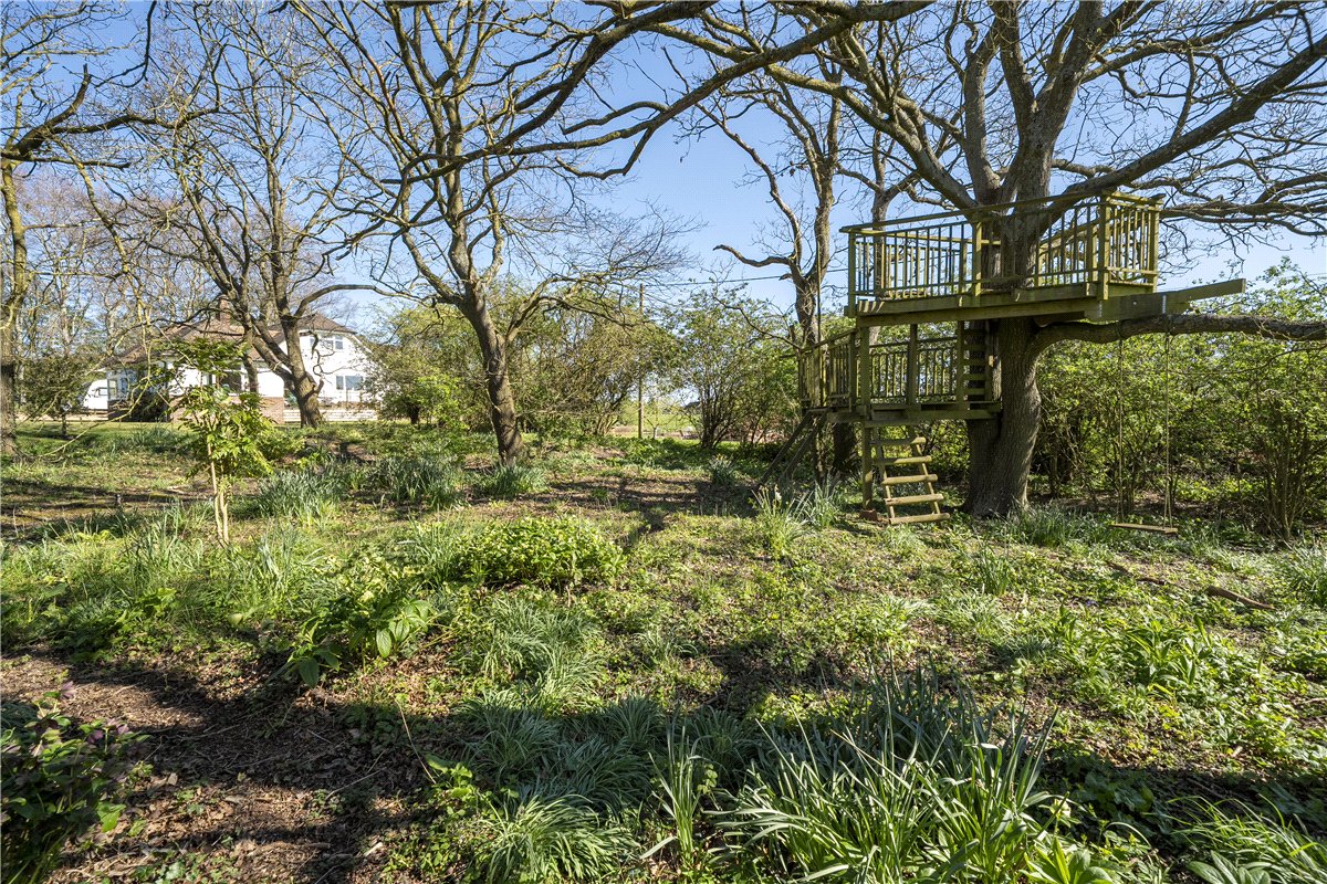 4 bedroom house, Stoke Charity Road, Kings Worthy SO21 - Available