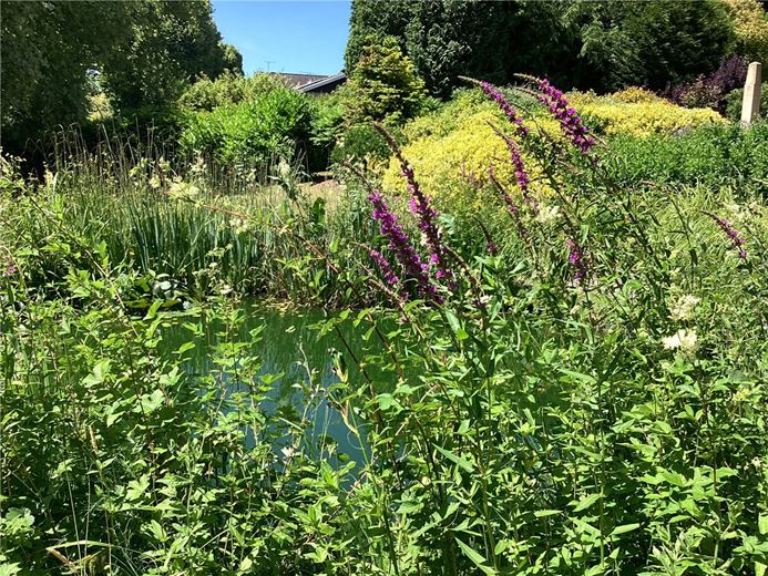 5 bedroom house, Lynch Hill Park, Whitchurch RG28 - Available