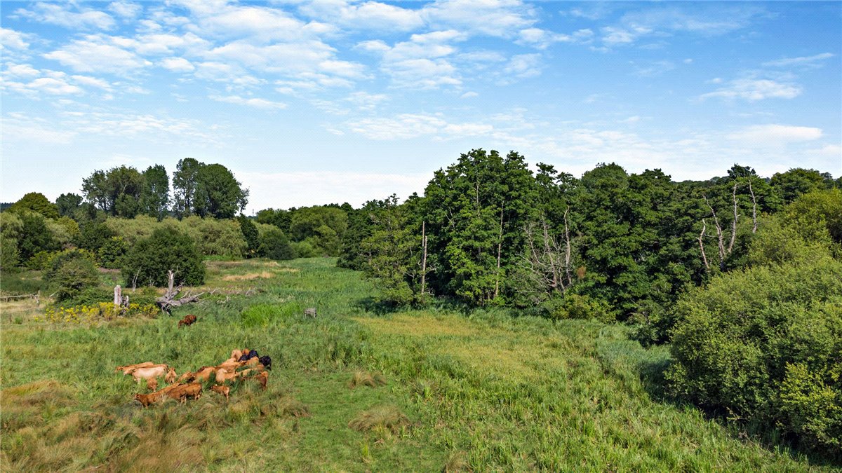 35.4 acres Land, Bradfield, Reading RG7 - Sold