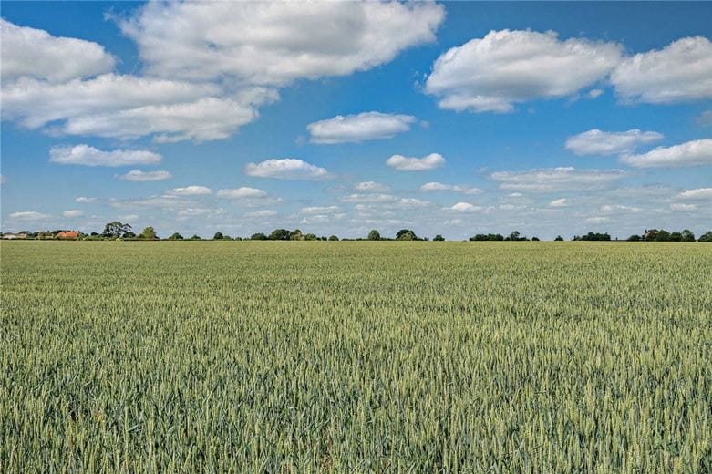 156.1 acres Land, Leckhampstead, Newbury RG20 - Available