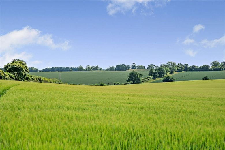 156.1 acres Land, Leckhampstead, Newbury RG20 - Available