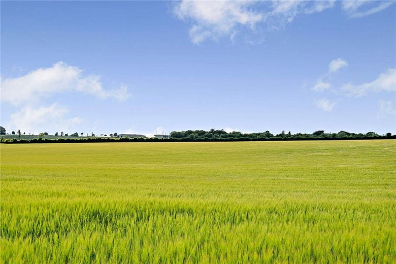 156.1 acres Land, Leckhampstead, Newbury RG20 - Available