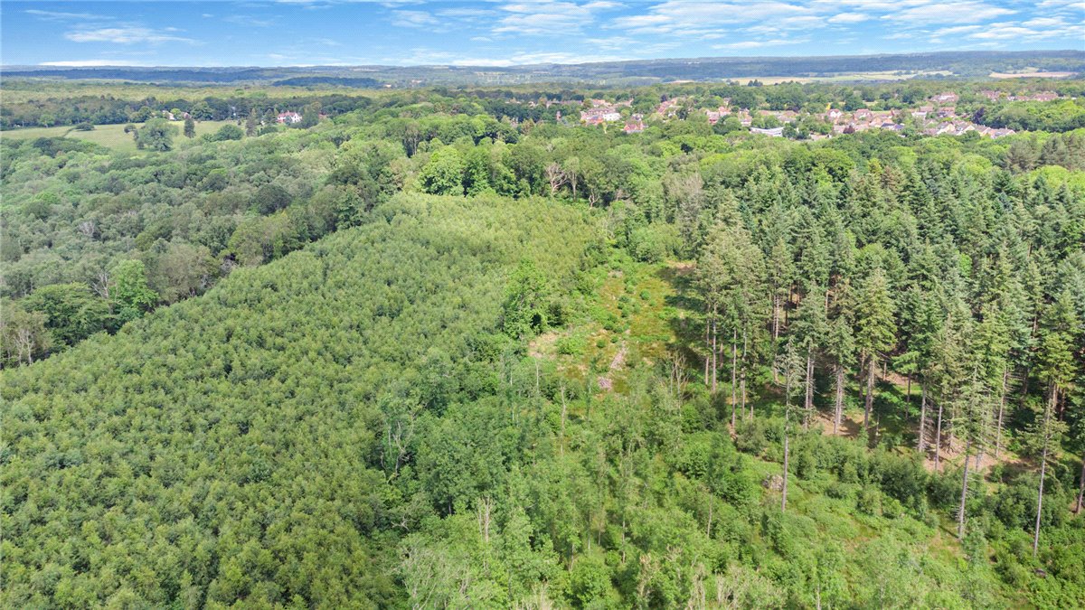 77.2 acres Land, Broad Lane, Upper Bucklebury RG7 - Available