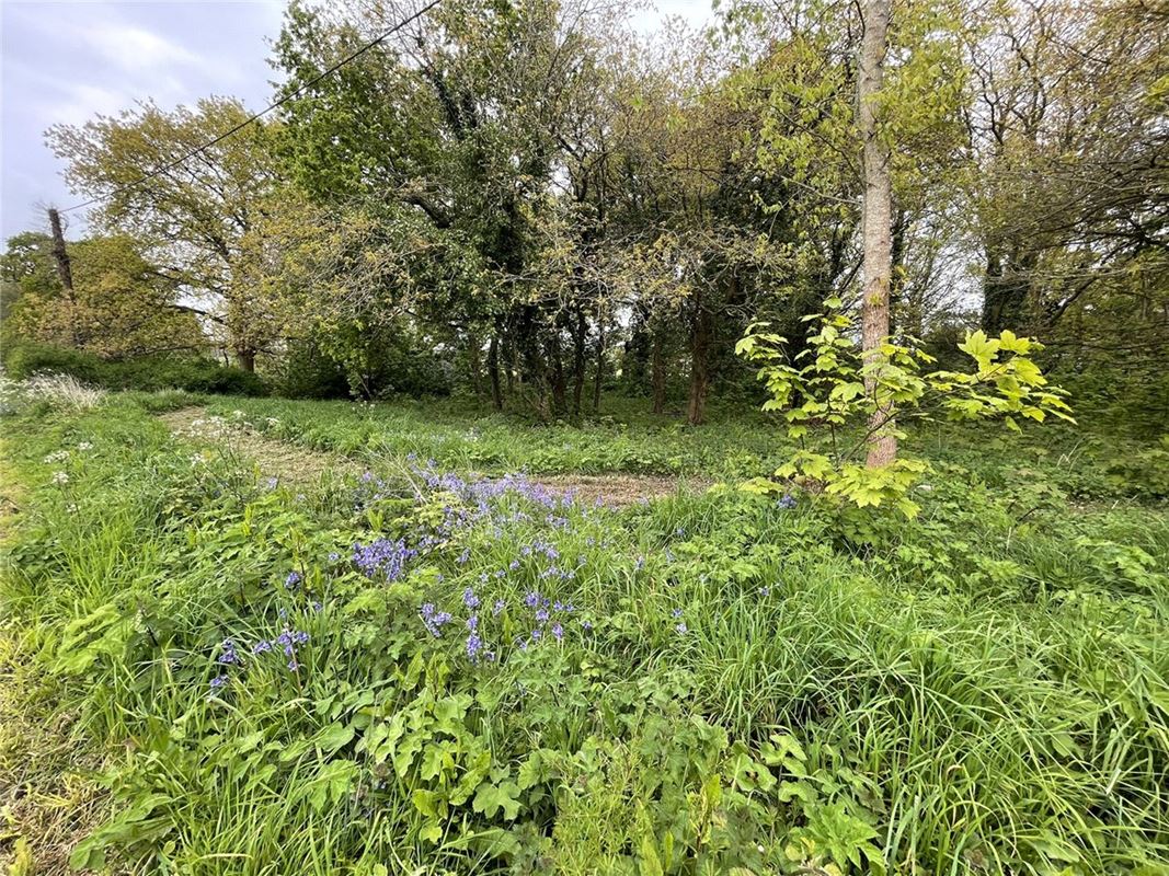 1.5 acres Land, Fawley, SO45 - Available