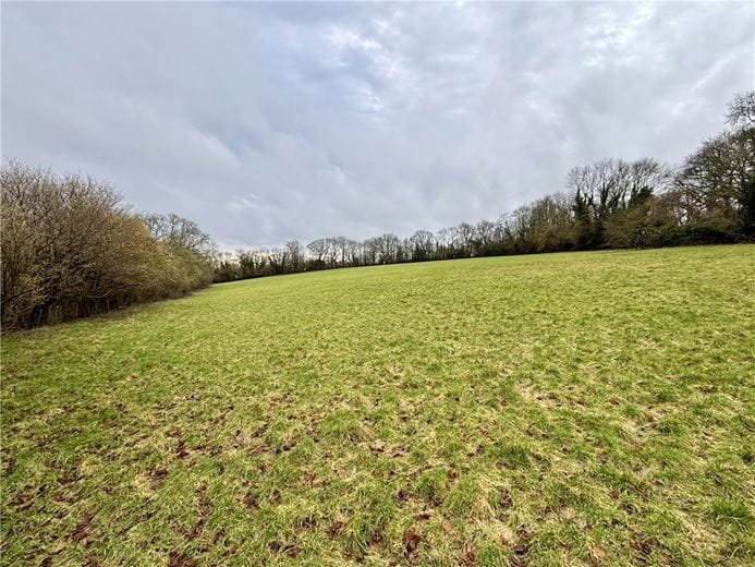 6.6 acres Land, Land At Priors Dean, Petersfield GU32 - Available