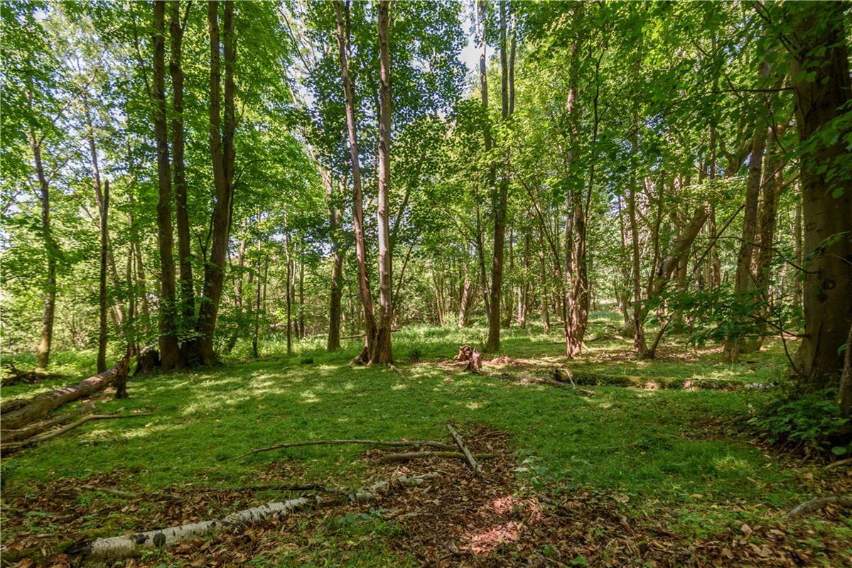 7.8 acres Land, Greenham, Thatcham RG19 - Sold STC