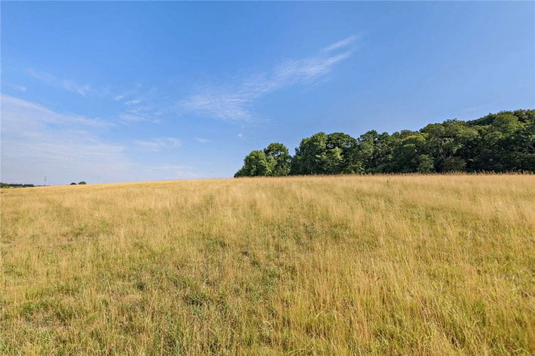  Land, Pebble Lane, Winterbourne RG20 - Available
