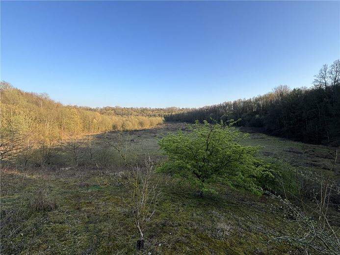  Land, Land At Charing,  - Available