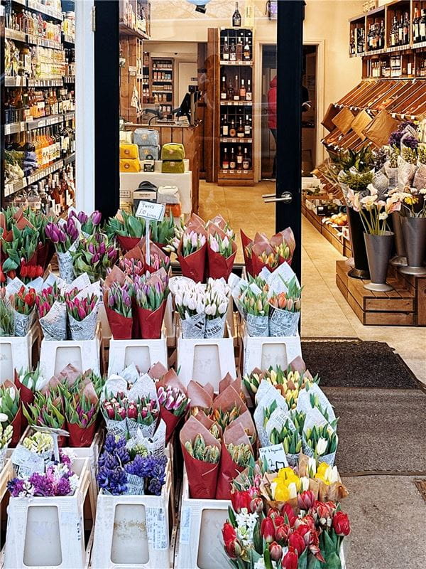 3 bedroom house, London Square Wandsworth Common, Springfield Drive SW17 - Available