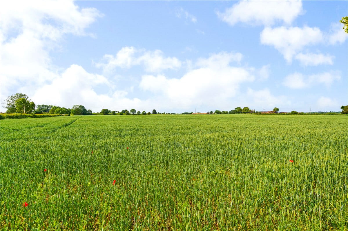 5 bedroom house, Black Dykes Lane, Upper Poppleton YO26 - Available