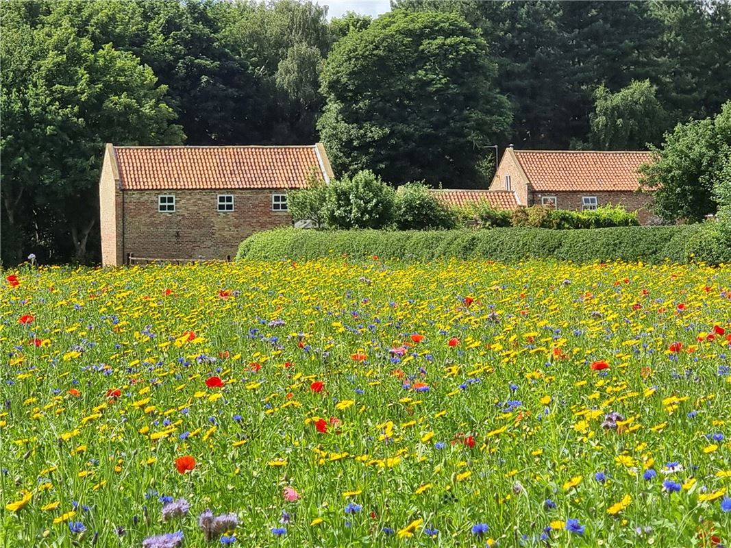 5 bedroom house, Selby Road, Holme-on-Spalding-Moor YO43 - Sold